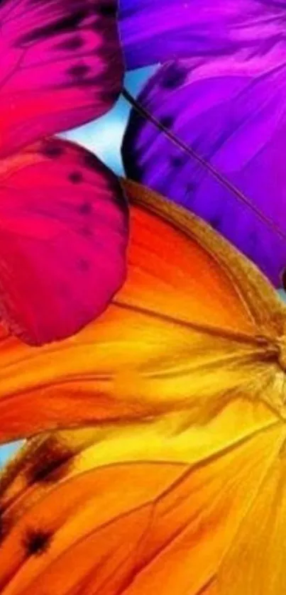 Vibrant and colorful butterfly wallpaper design.