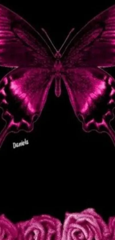 Magenta butterfly and roses on black wallpaper.