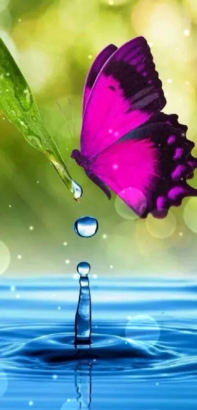 Purple butterfly above serene water drop with green and blue background.