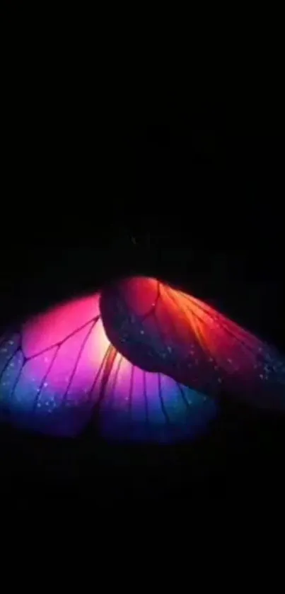 Vibrant butterfly wings glowing on a dark background.