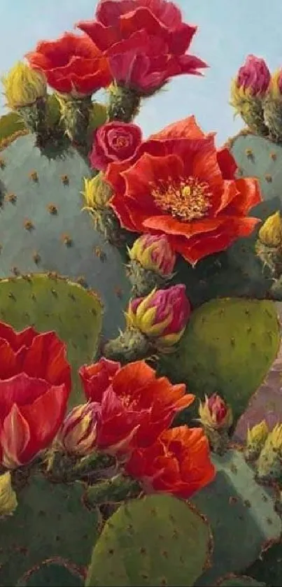 Cactus with bright red flowers and green pads in a desert setting.