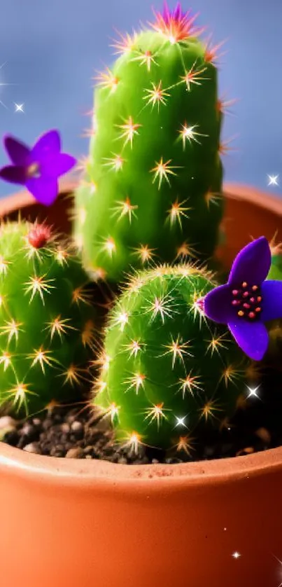 Green cacti with purple flowers in an orange pot on a blue background.