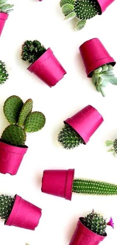 Vibrant cactus wallpaper with pink pots.