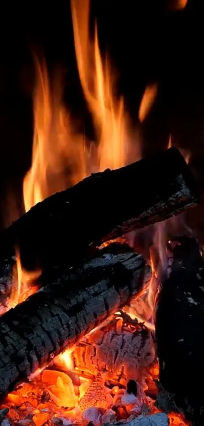 Glowing campfire with vibrant orange flames against a dark background.