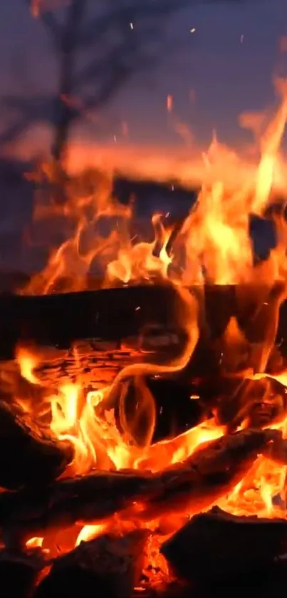Vibrant campfire flames lighting up the night.