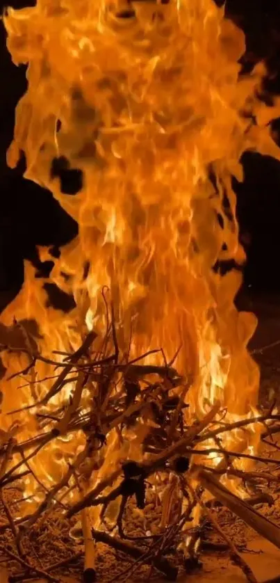 Captivating campfire with vivid orange flames at night.