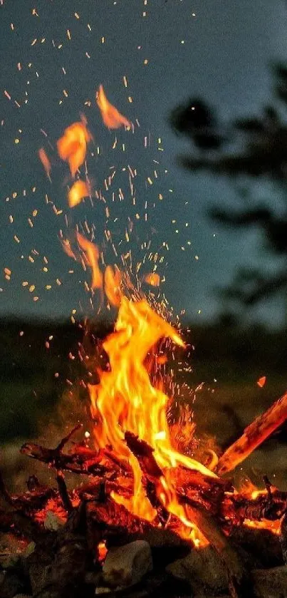 A vibrant campfire with glowing orange flames against a night sky backdrop.