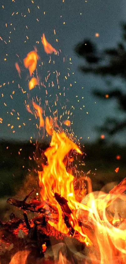 Vibrant flames of a campfire light up a serene night scene.