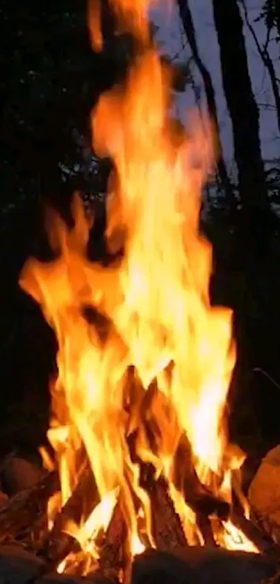 Campfire glowing brightly in the night forest, illuminating the surroundings.