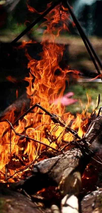 Vibrant campfire glowing in the dark forest scene.