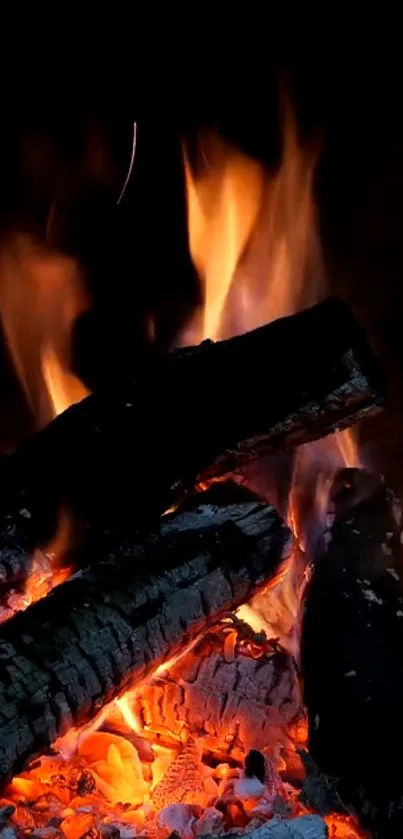 Cozy campfire with glowing flames and charred logs creating a warm ambiance.