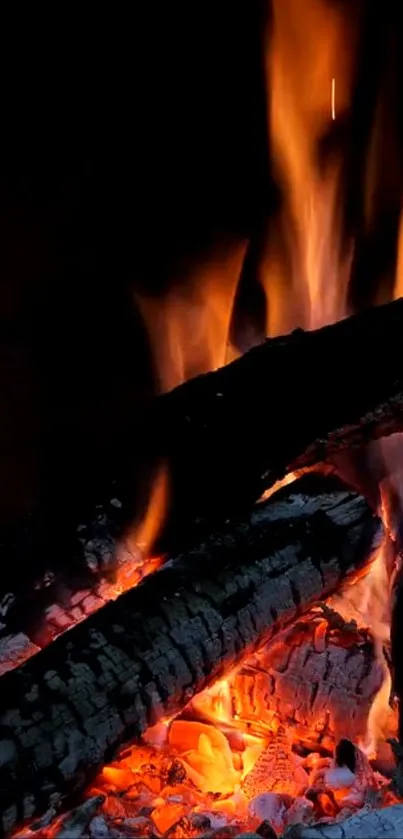 Campfire with glowing orange flames and charred logs.