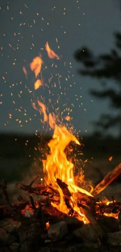 Vibrant campfire with flames and sparks in a dark natural setting.