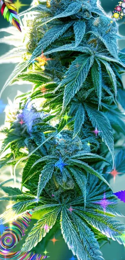 Vibrant artwork of a cannabis plant with psychedelic colors.