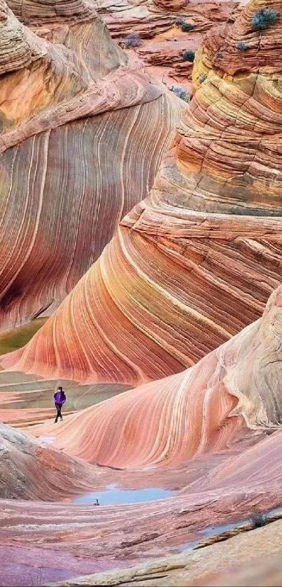 Vibrant canyon with red-orange waves and a lone hiker.