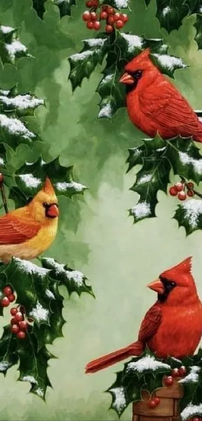 Three cardinals on holly branches with leaves and berries.