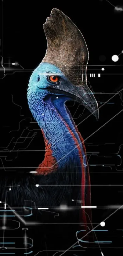 Majestic cassowary bird on black background in vivid colors.