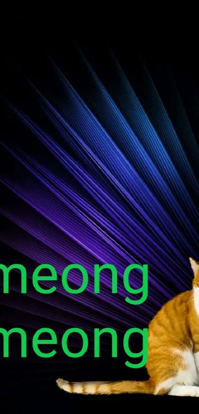 Cat with abstract purple and blue lines on black background.