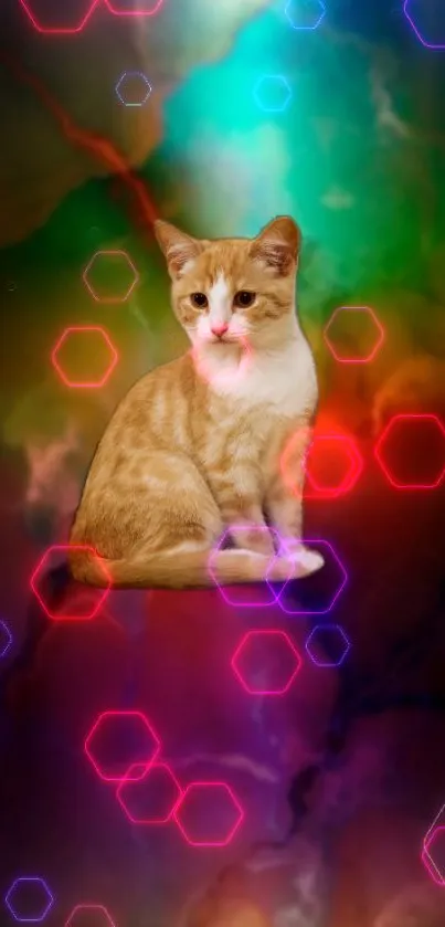 Colorful cat with hexagon pattern wallpaper