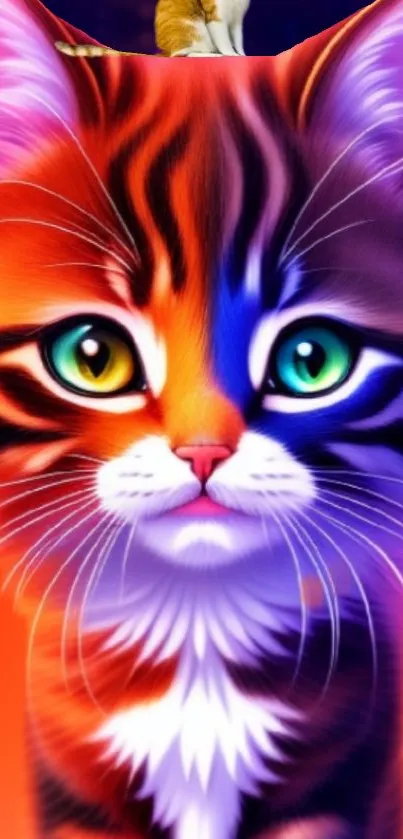 Colorful artistic cat with vibrant eyes in a digital wallpaper design.