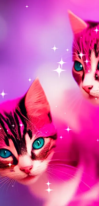 Vibrant pink wallpaper with teal-eyed cats.