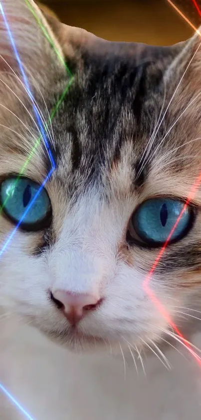 Close-up of a cat's eyes with colorful laser beams.