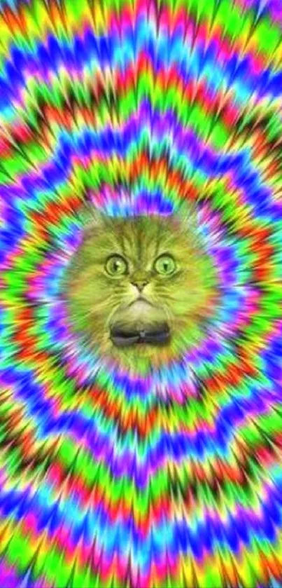 Psychedelic colorful illusion with cat face at center.