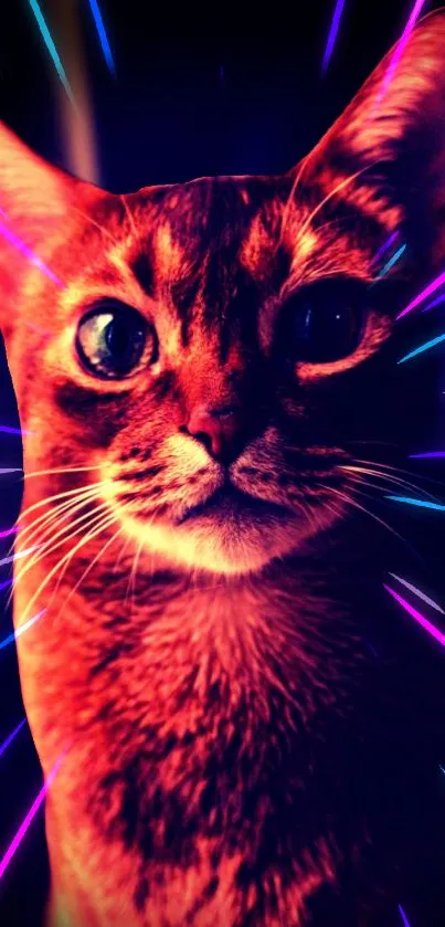 Vibrant cat in neon lights wallpaper for mobile phone.