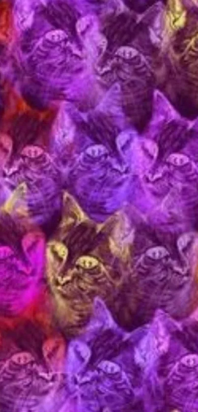 Vibrant multicolor cat pattern with purple hues on a mobile wallpaper.