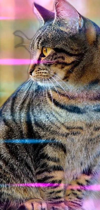 Vibrant cat with neon stripes and natural background