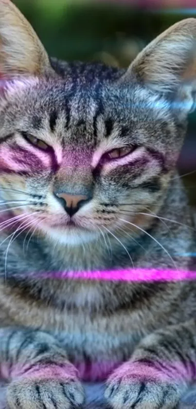 Cat with neon pink and blue stripes on fur, relaxing.