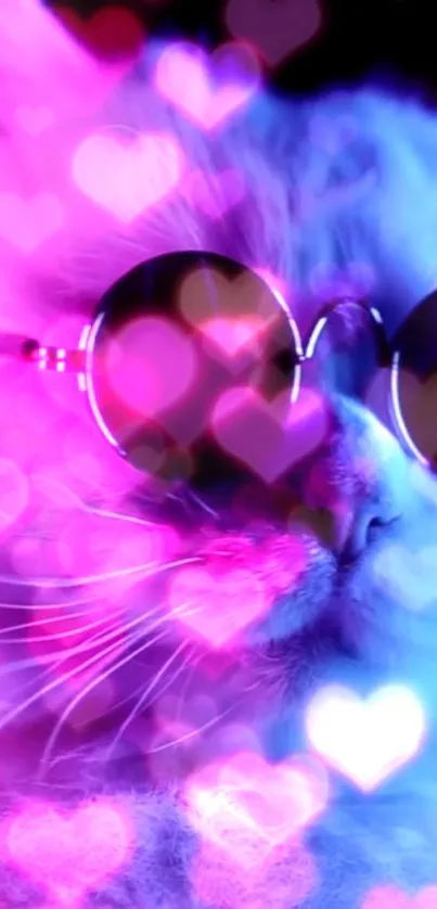 Cat with sunglasses and heart lights in vibrant colors.