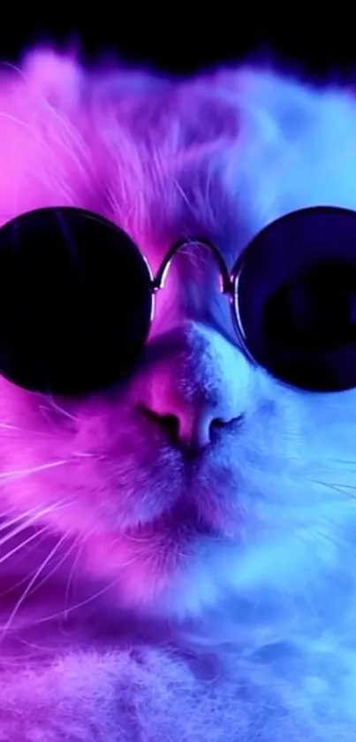 Cat wearing sunglasses in vibrant neon colors.