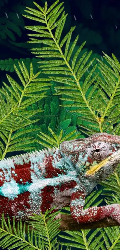 Chameleon rests among green ferns on a branch, capturing nature's vivid beauty.