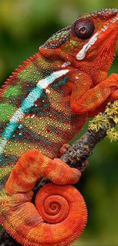 Vibrant chameleon on branch with colorful scales and lush background.