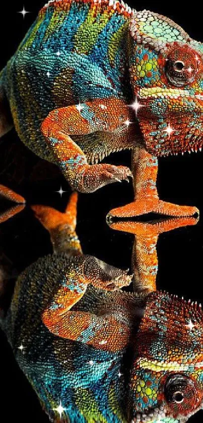 Colorful chameleon with a reflective pose on a black background.