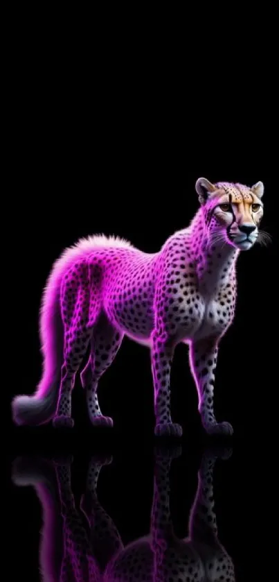 Neon art cheetah on black background with vibrant purple hues.