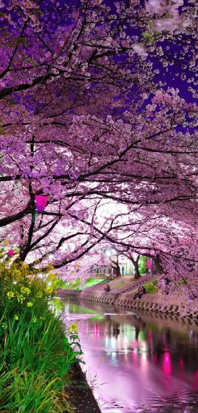 Cherry blossoms reflecting on a tranquil river with purple twilight sky.