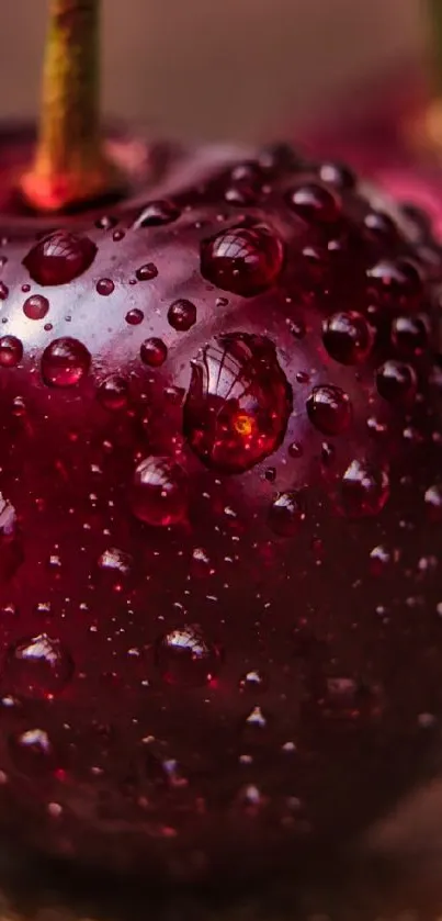 Close-up of cherries with water droplets on a textured background.