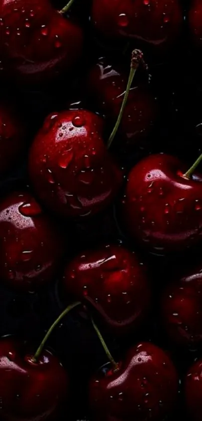Close-up of vibrant red cherries wallpaper.