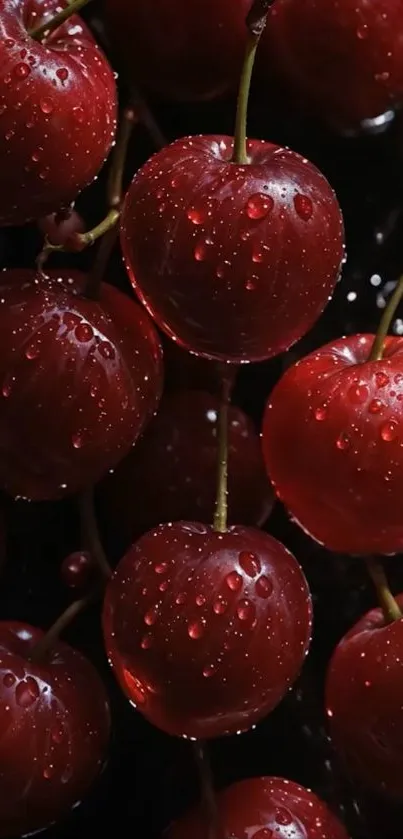 Red cherries with water droplets on a dark background, perfect for wallpapers.