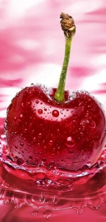 Vivid red cherry splashing in water with a pink backdrop.