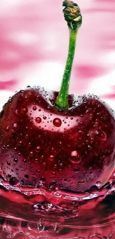 A vibrant cherry splashes into pink water creating a stunning visual effect.