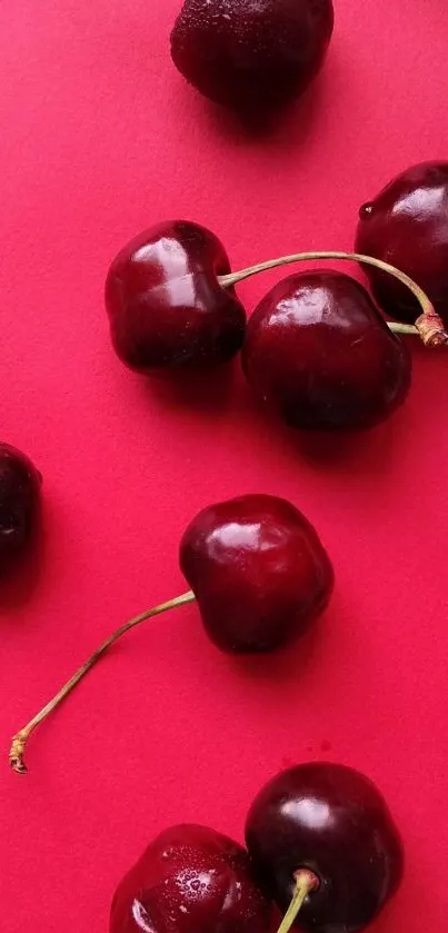 Vibrant red cherries on a bold pink background mobile wallpaper.