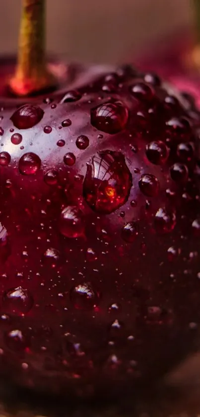 Dew-covered cherries on a wooden surface.