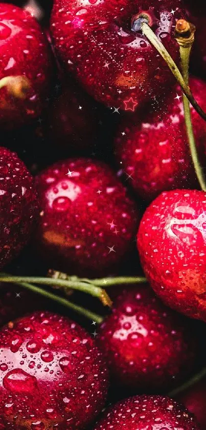 Close-up of vibrant red cherries with water droplets.