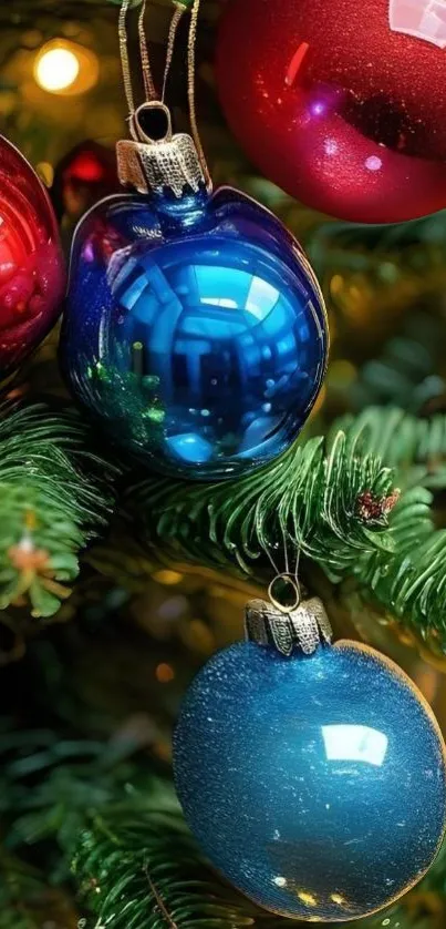 Colorful Christmas ornaments on a tree.