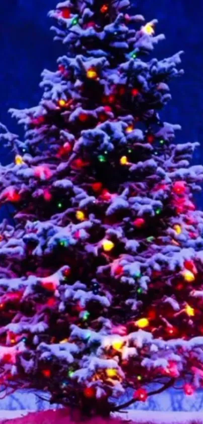 Snow-covered Christmas tree with colorful lights in a winter scene.