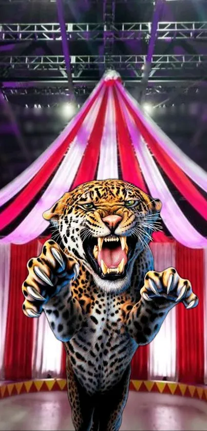 Leopard leaping in vibrant circus setting with red and purple tent.