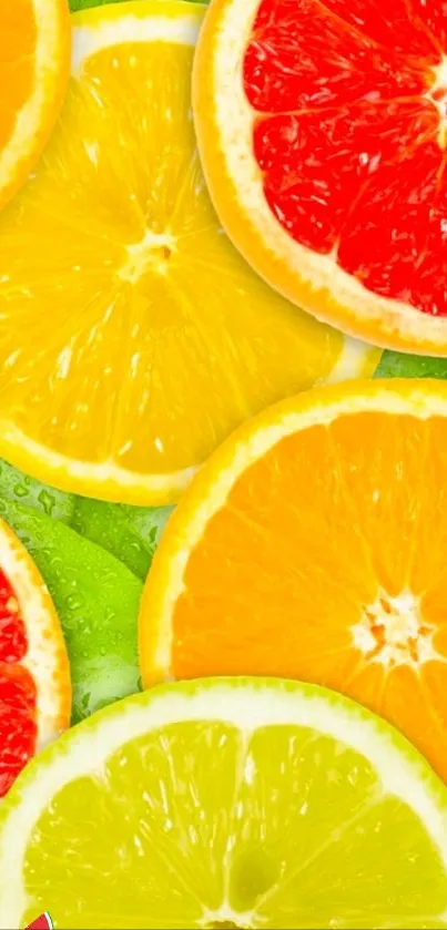 Colorful citrus fruit slices including grapefruit, lemon, and lime on a vibrant background.